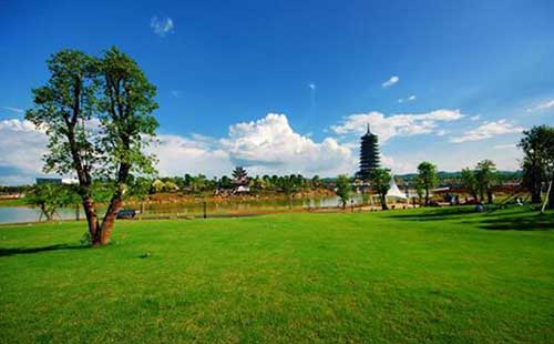 |@D(zhun)уЈɑ]ˆ᣿Dģ